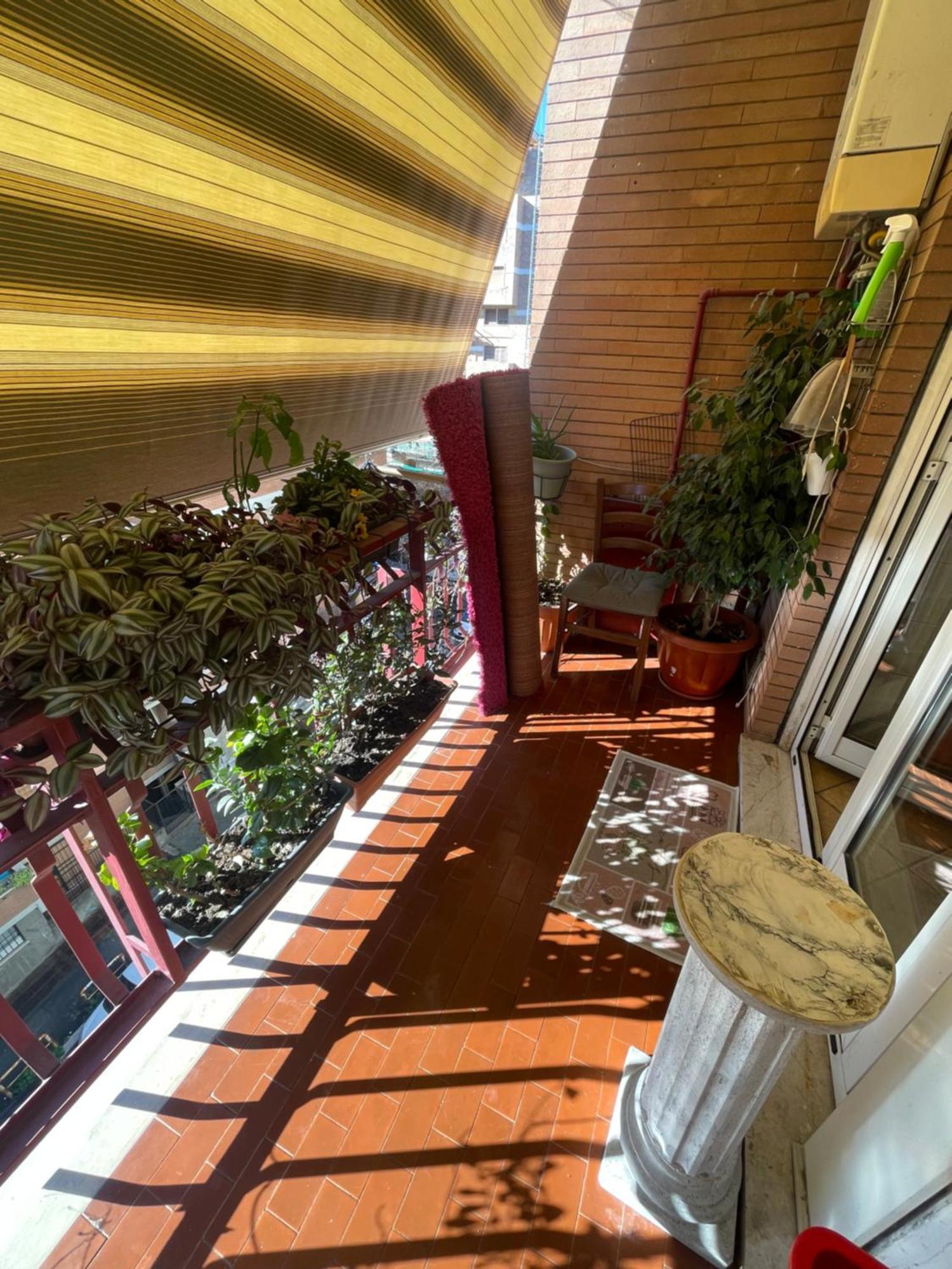 Apartamento Exotic
